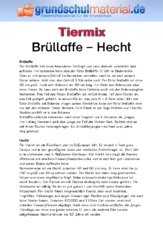 Brüllaffe - Hecht.pdf